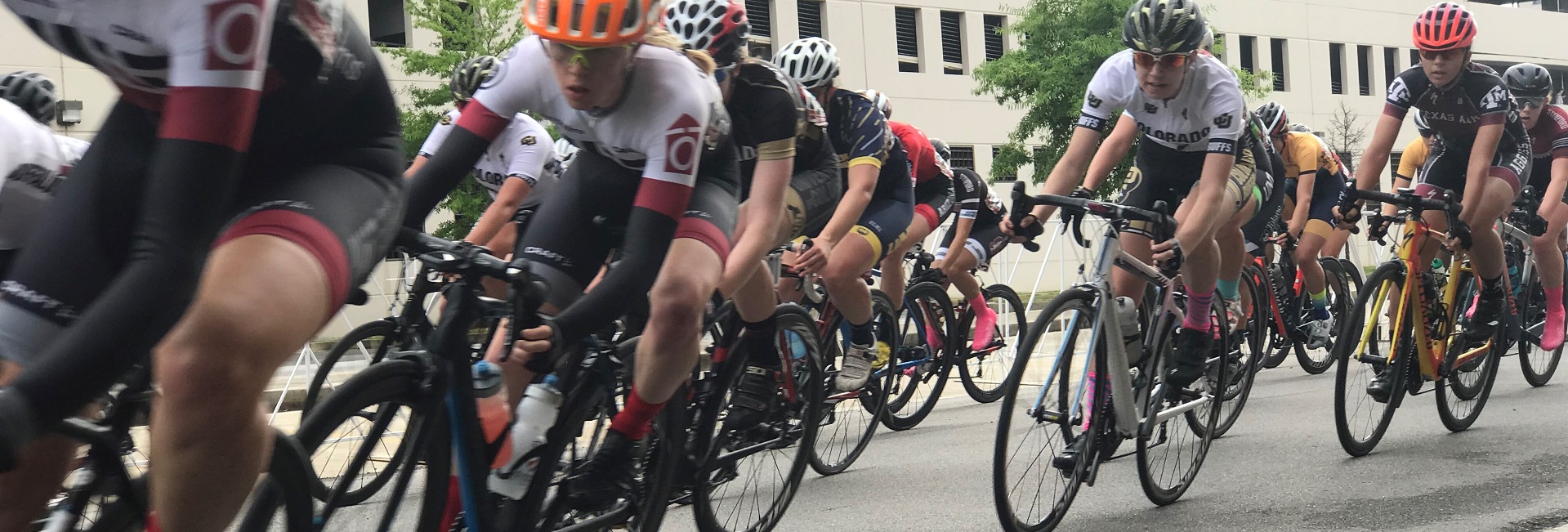 2019 USA Cycling Collegiate Road National Championships
