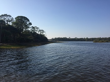 Princess Place Preserve in Flagler County