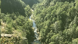 Tallulah Gorge State Park, Rabun County, Georgia
