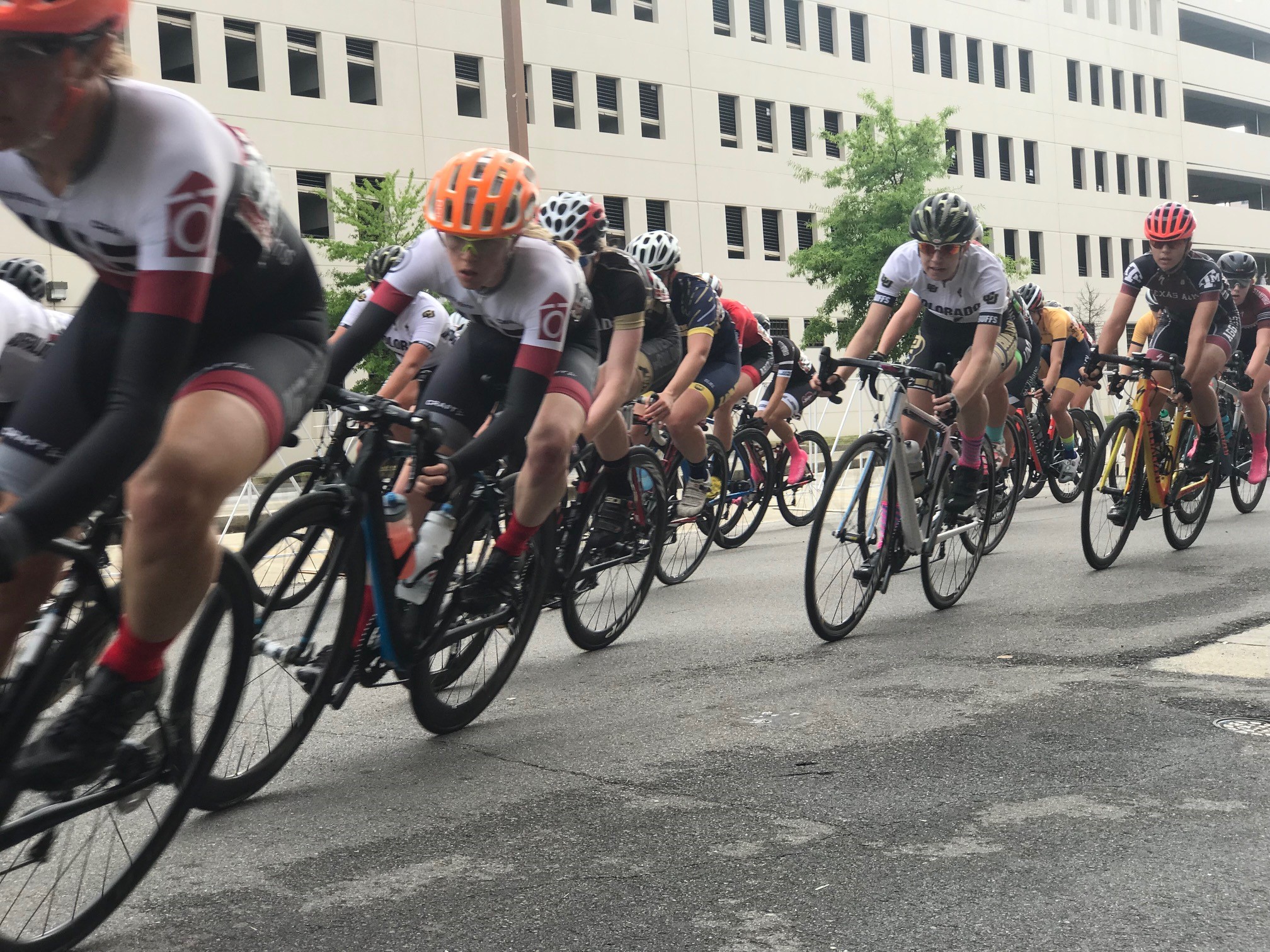 2019 USA Cycling Collegiate Road National Championships